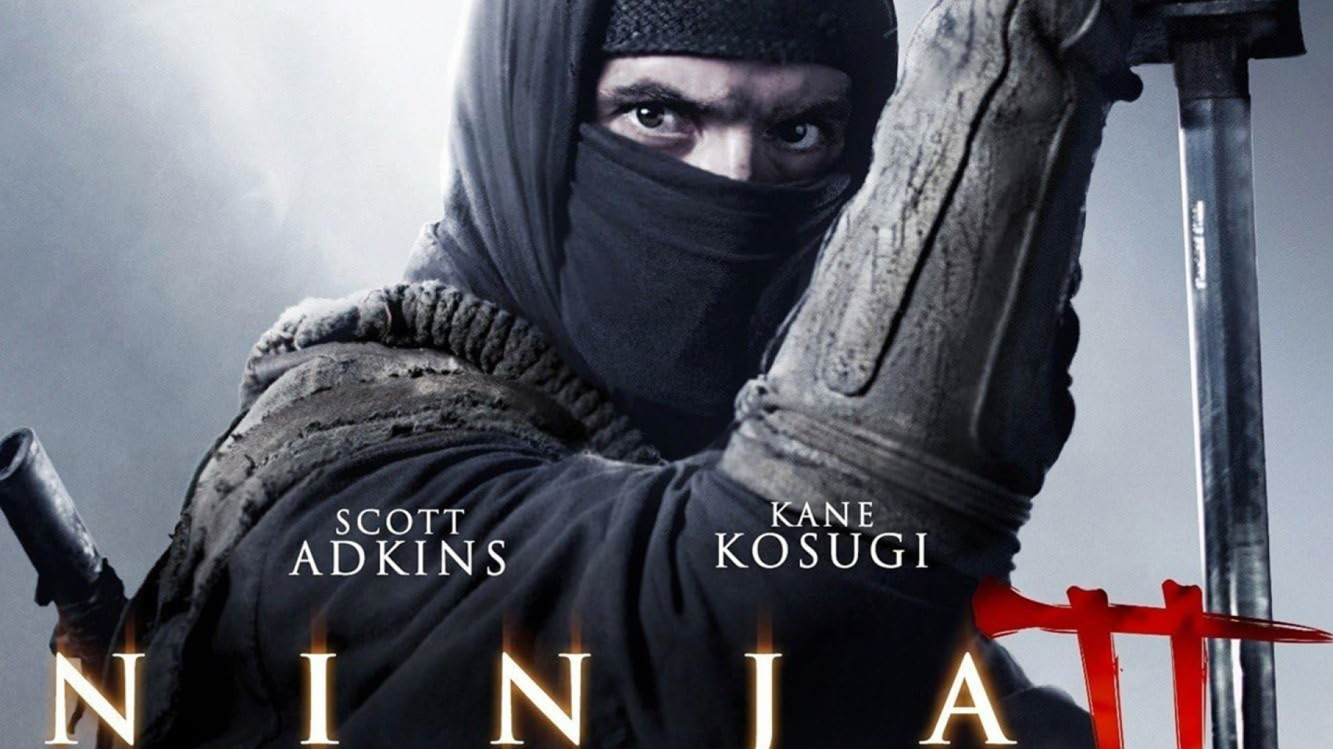 Ninja: Shadow of a Tear (2013) BluRay 480p