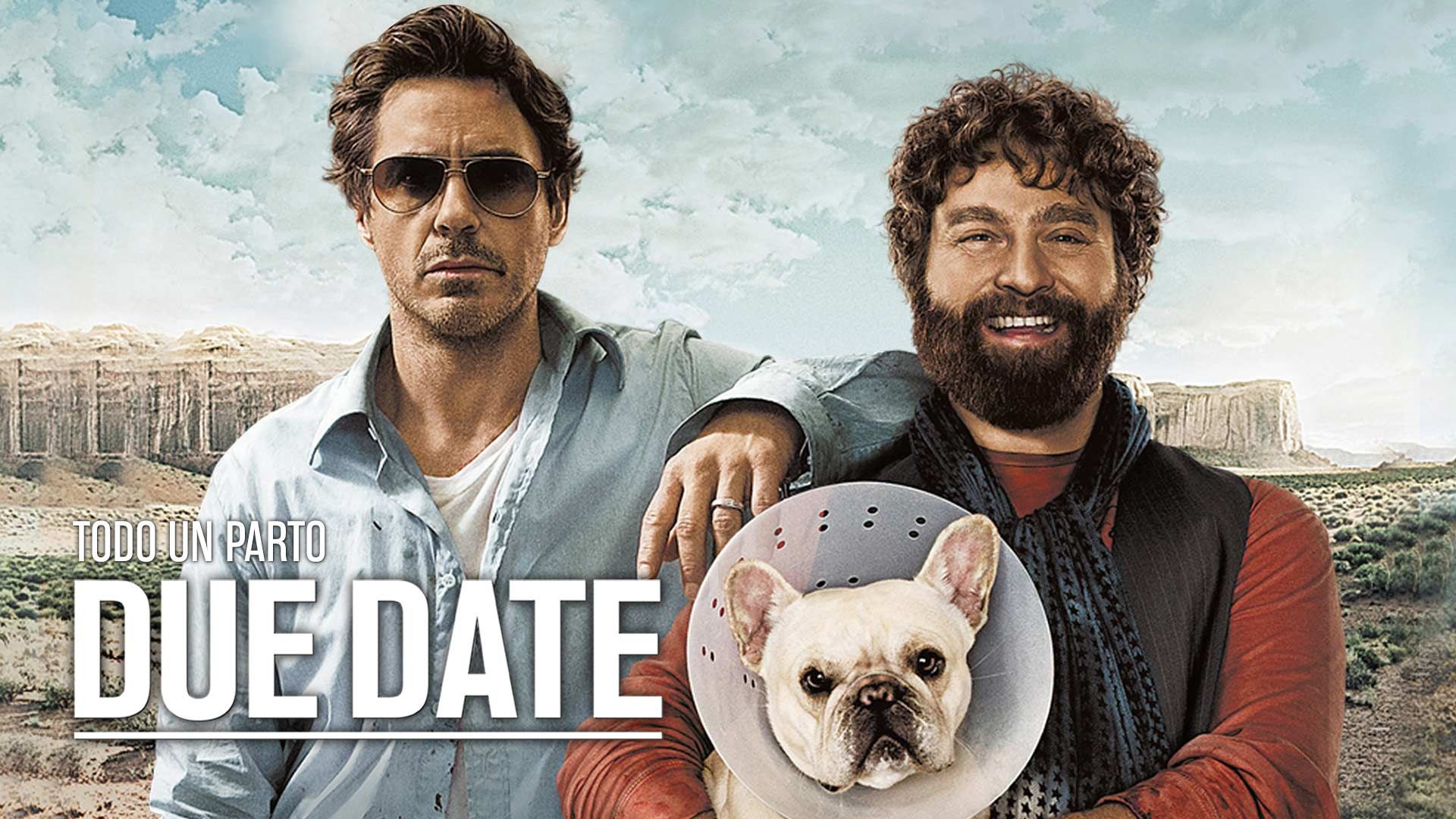 Due Date (2010) Hindi Dubbed WEB-DL 720p