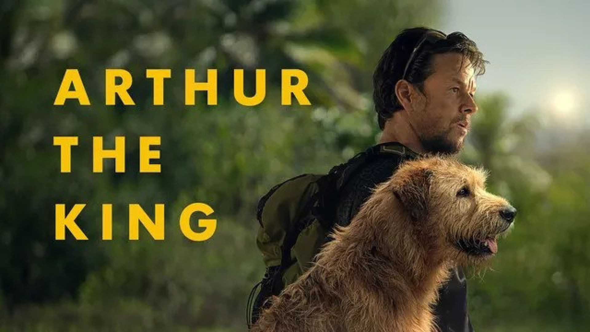 Arthur the King (2024) English Amazon WEB-DL 1080P
