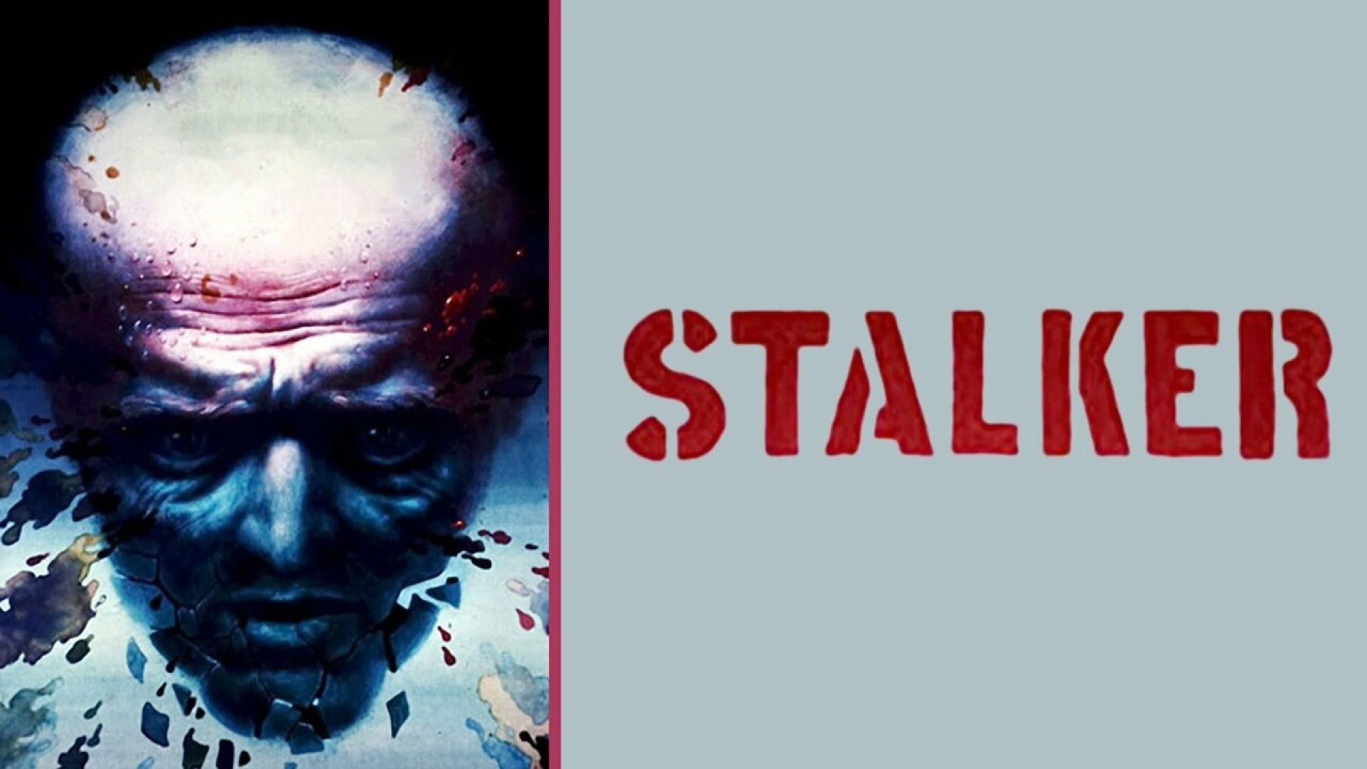 Stalker (1979) English BluRay 480p