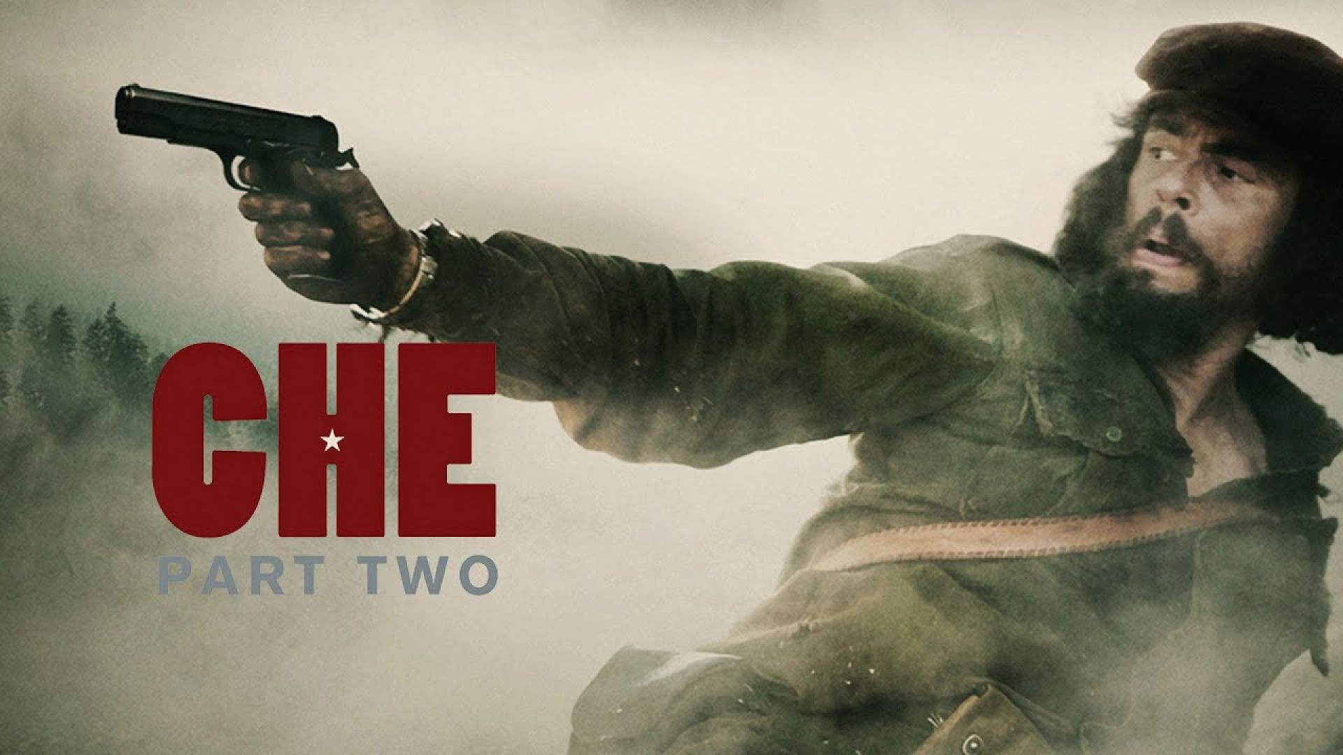 Che: Part Two (2008) Dual Audio {English-Spanish} BluRay 480p
