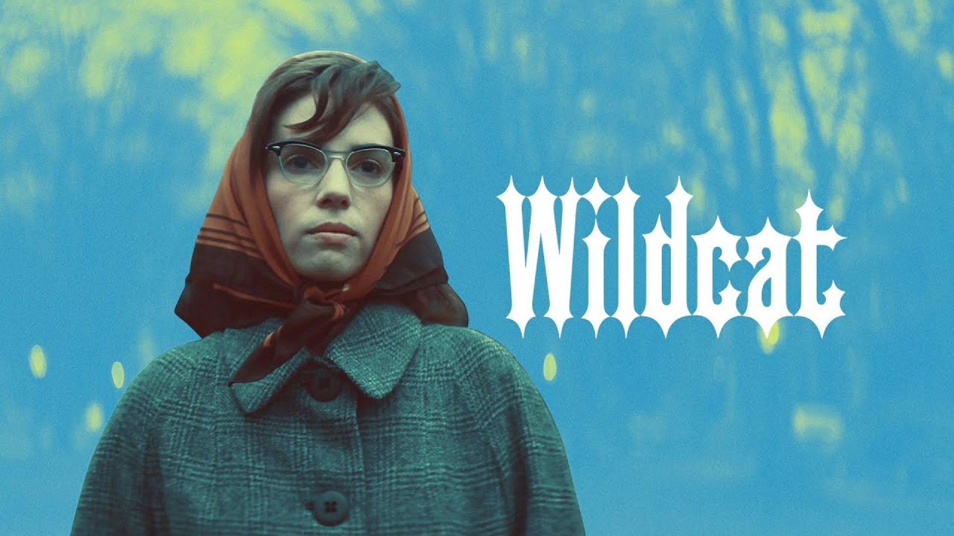 Wildcat (2024) English WEB-DL 480p