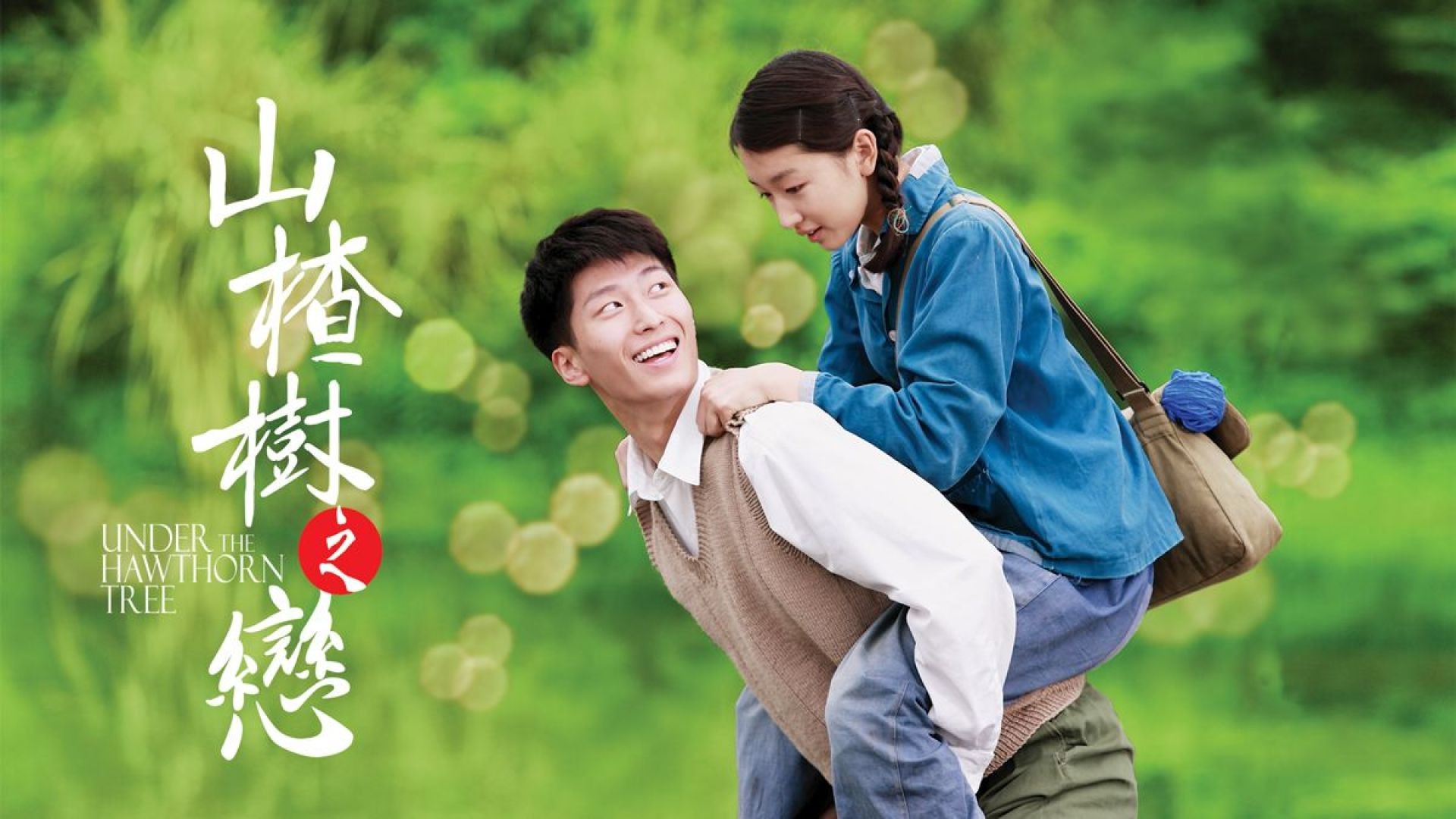Under the Hawthorn Tree (2010) Chinese BluRay