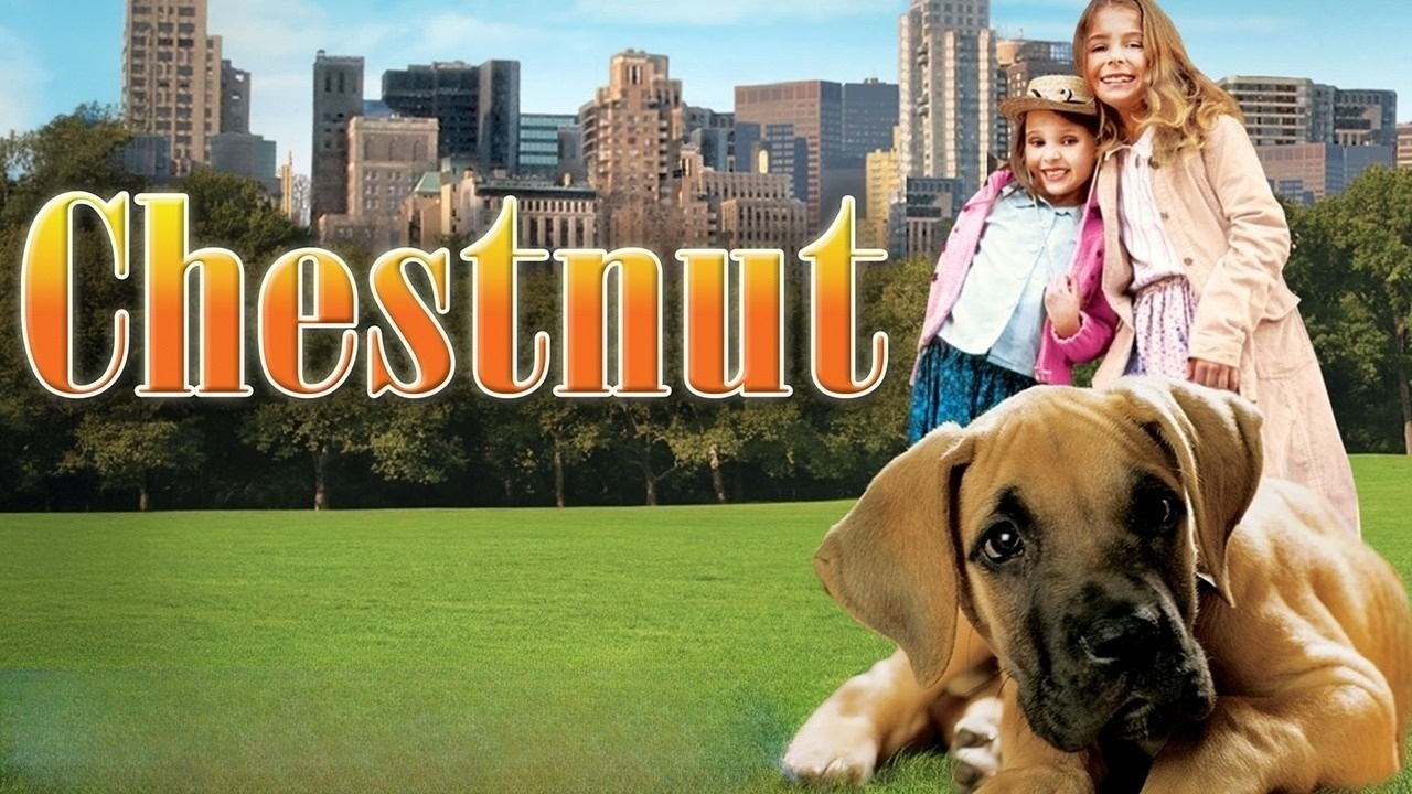 Chestnut Hero of Central Park (2004) Dual Audio {Hindi-English} WEB-DL 480p